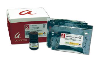 Advanstain Scarlet Trial Kit (sufficient for 1 minigel) - MyBio Ireland - Advansta