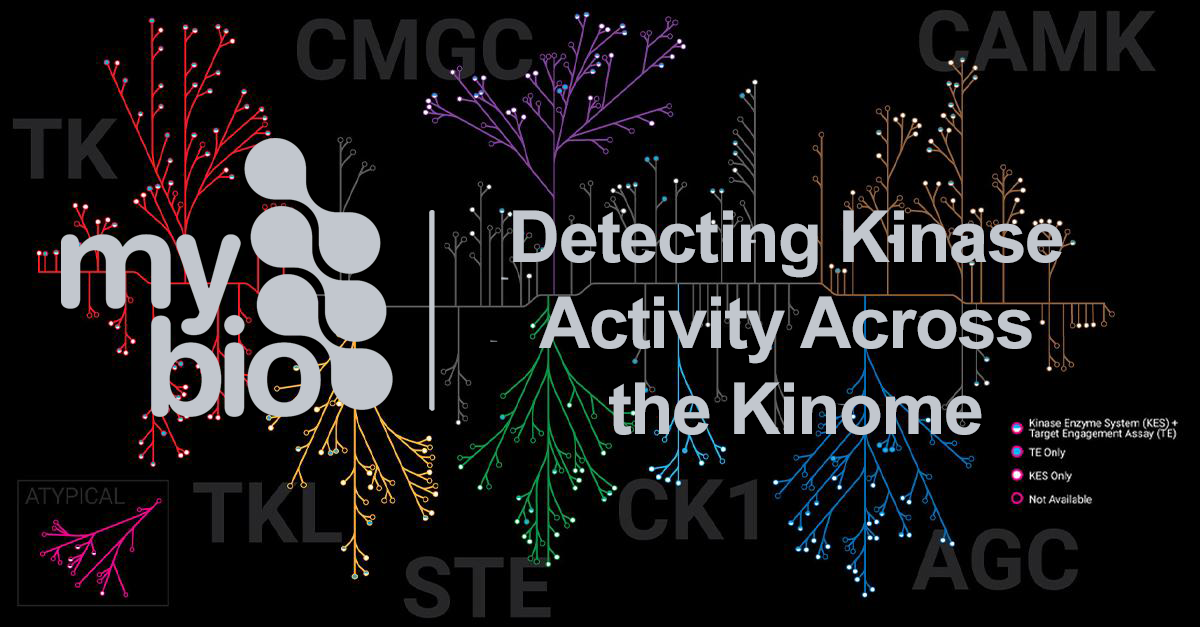 Detecting Kinase Activity Across the Kinome