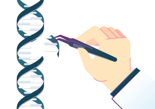 PARP and DDR Pathway Drug Discovery