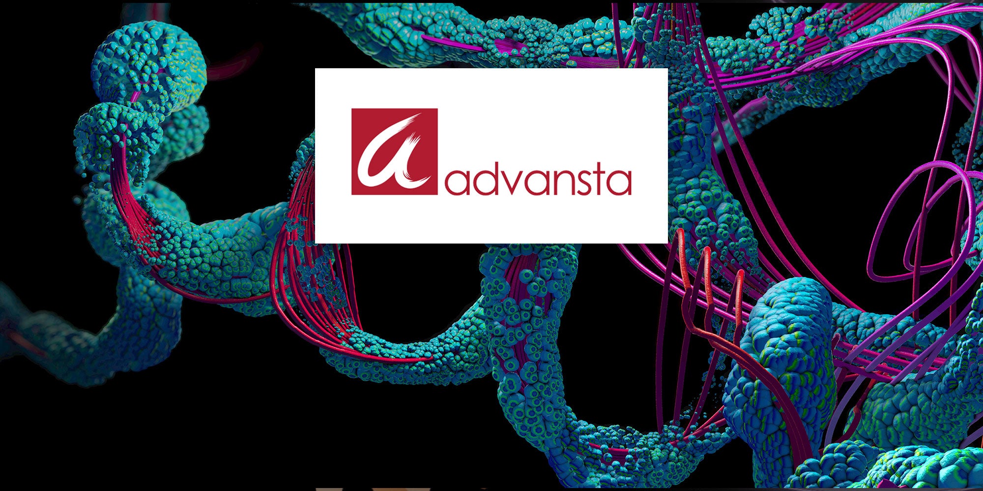 Advansta - Solutions for protein characterisation