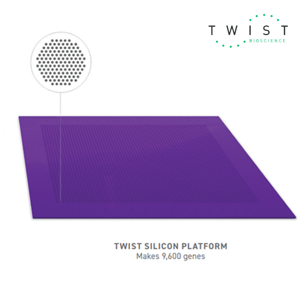 Twist Bioscience Gene Fragments silicon platform