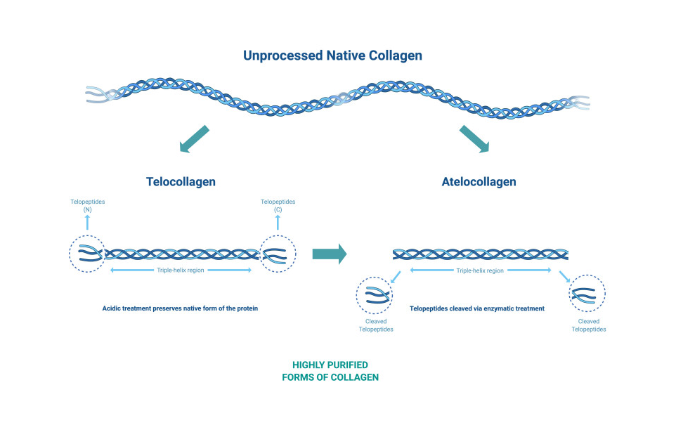 Extraction Collagen Vector How to use your MyBio Allergy-Check Self Test – MyBio Ireland