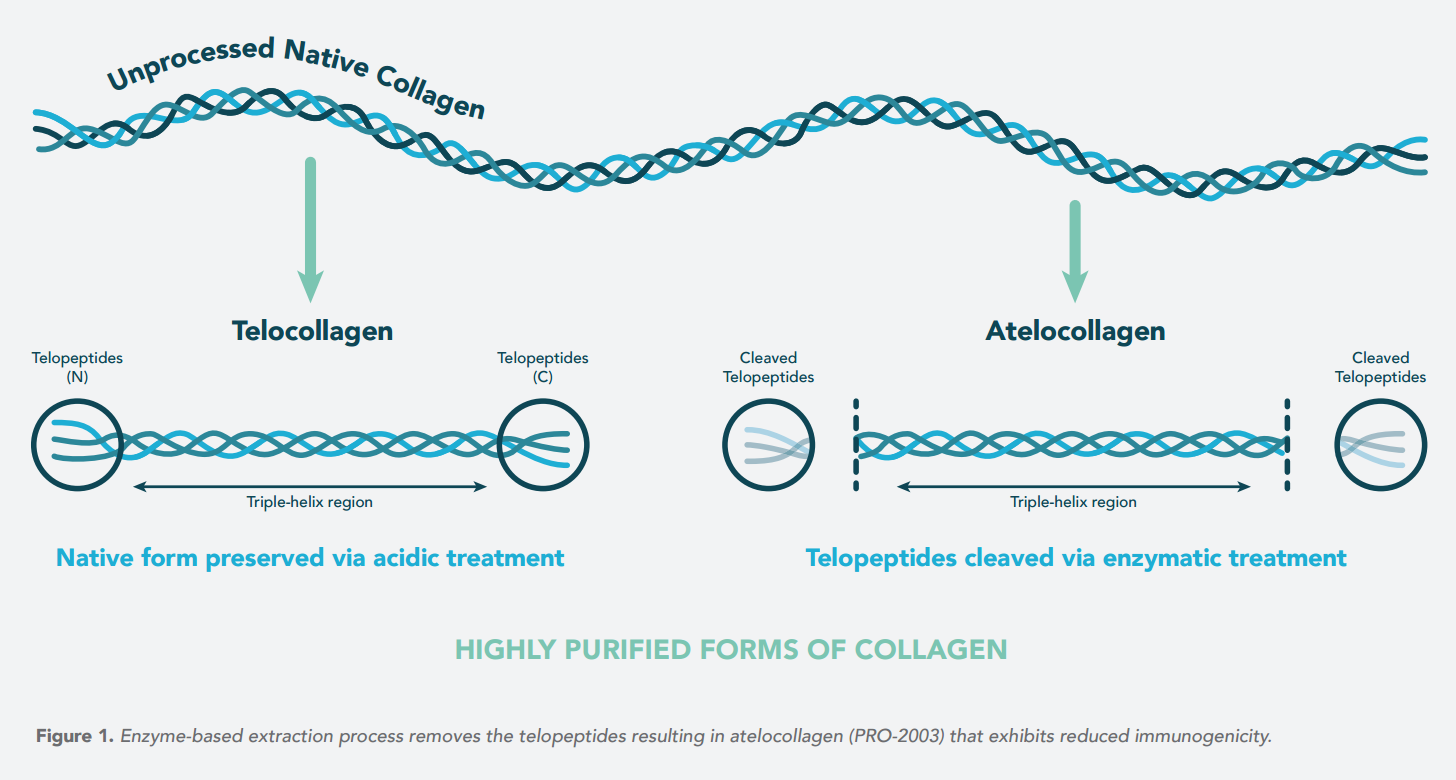 Promed Bioscience - Innovative Collagen Biomaterials – MyBio Ireland