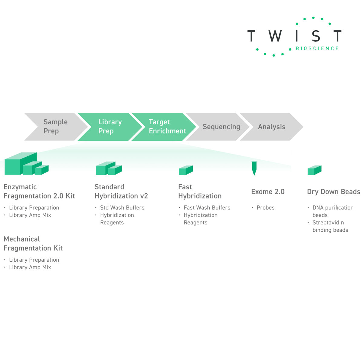 Twist Exome 2.0 is designed to detect rare and inherited diseases, as well as germline cancers. This panel’s high uniformity and low off-target rate deliver best-in-class sequencing efficiency, enabling quality data to be collected with less sequencing.  workflow