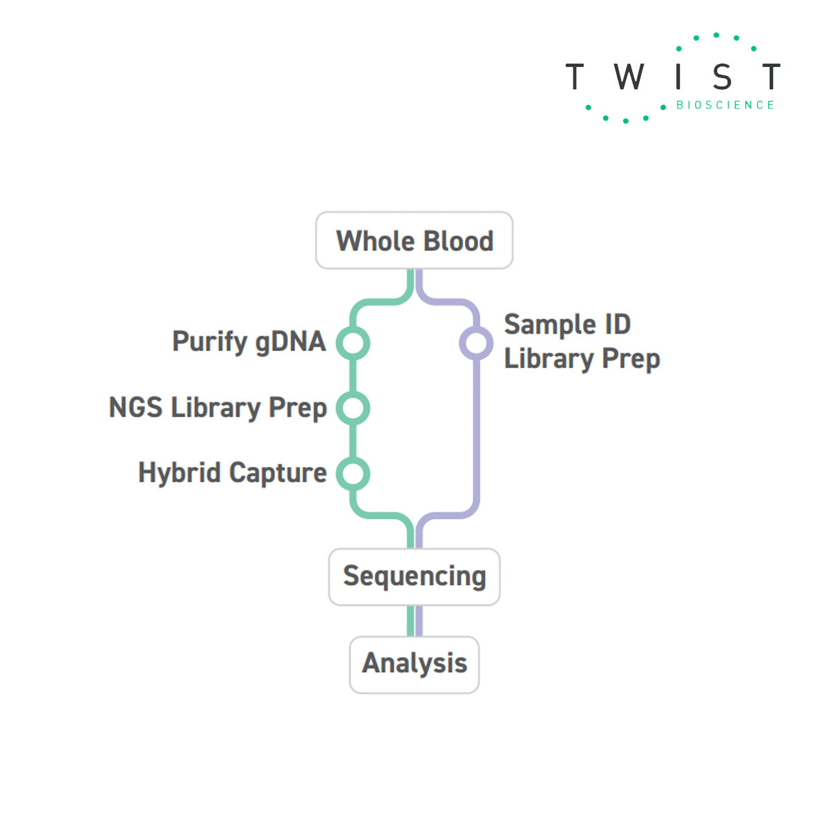 Twist Library Preparation Twist Human Sample ID Kit