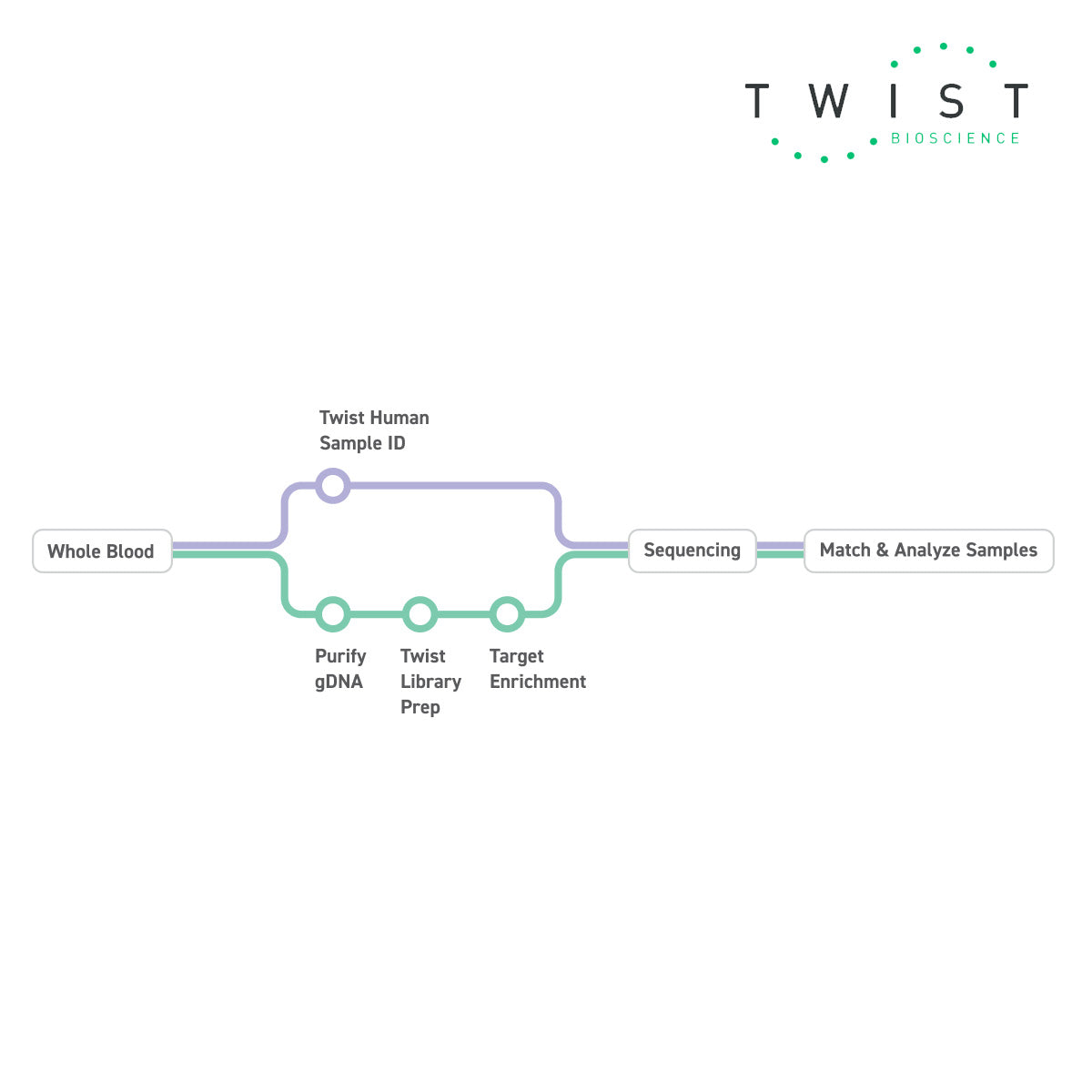 Twist Library Preparation Twist Human Sample ID Kit workflow