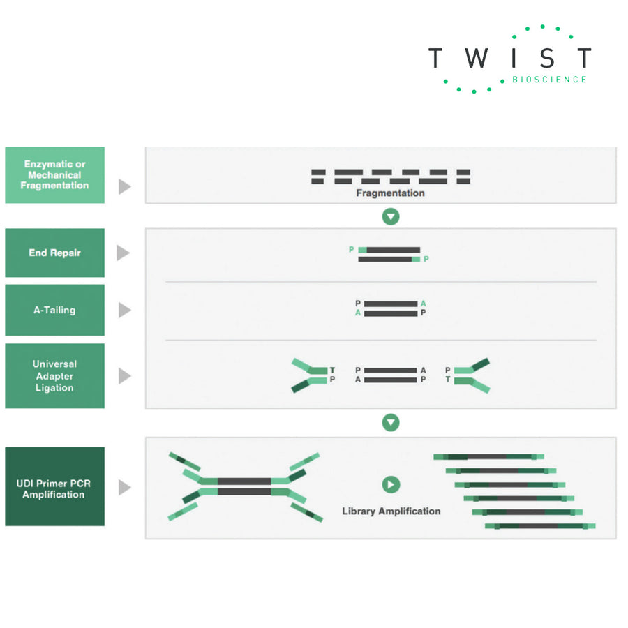 Twist Bioscience NGS Library Preparation Universal Adapter Systems