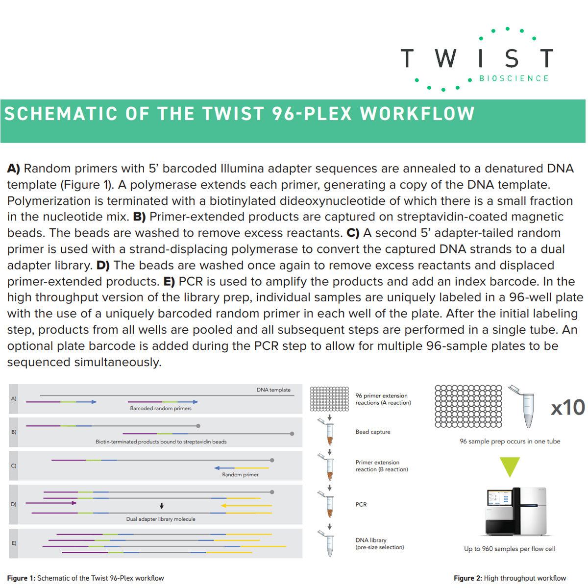 twist 96 plex workflow