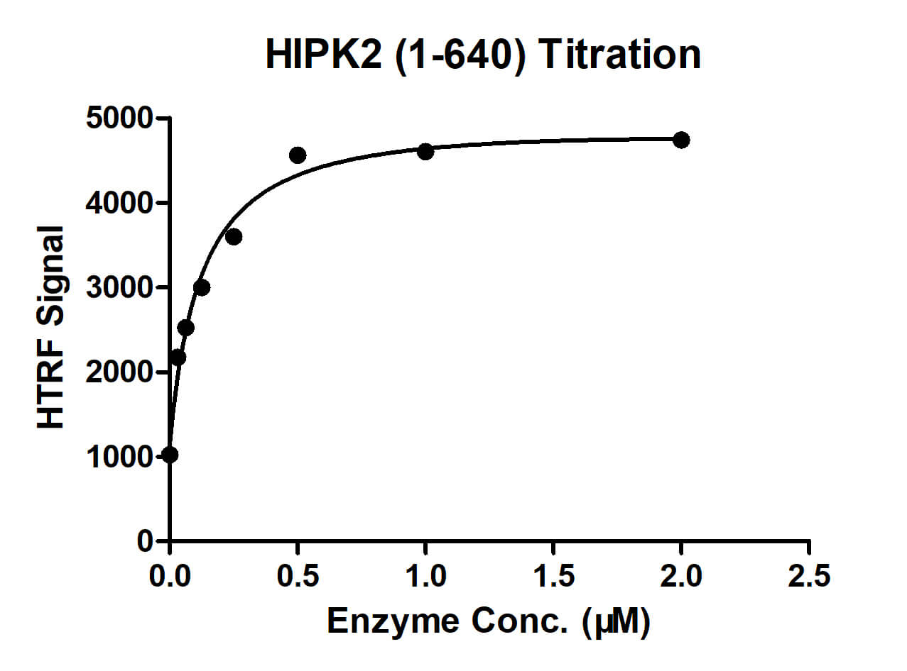 Recombinant HIPK2 (1-640) protein - MyBio Ireland - Active Motif