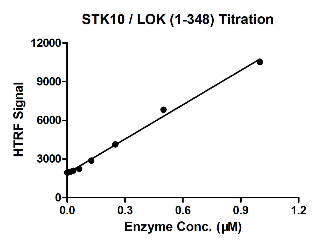 Recombinant STK10 / LOK (1-348) protein - MyBio Ireland - Active Motif