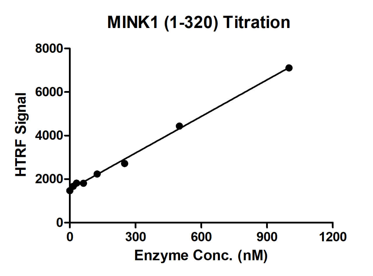 Recombinant MINK1 (1-320) protein - MyBio Ireland - Active Motif