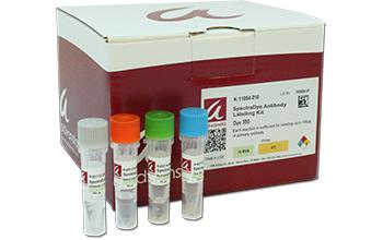 SAMPLE-SpectraDye Antibody Labeling Kit, user-supplied dye - MyBio Ireland - Advansta