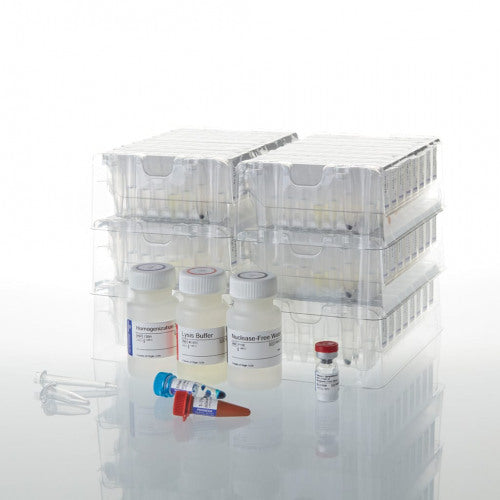 Maxwell 16 LEV simplyRNA Cells Kit - MyBio Ireland - Promega