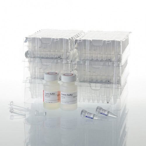 Maxwell 16 Buccal Swab LEV DNA Purification Kit - MyBio Ireland - Promega