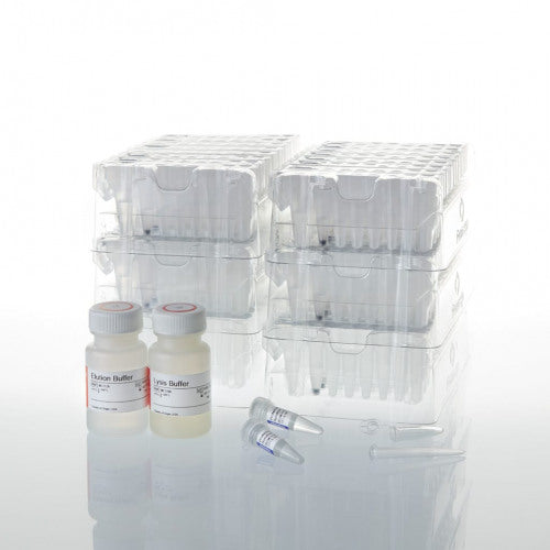 Maxwell CSC Blood DNA Kit - MyBio Ireland - Promega