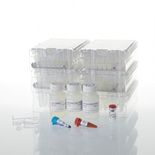 Maxwell RSC simplyRNA Cells Kit - MyBio Ireland - Promega