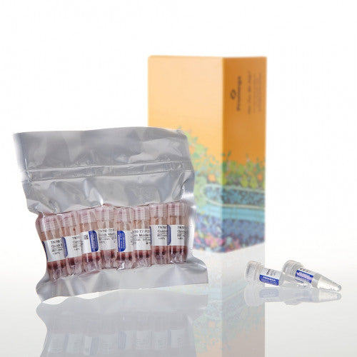 TNT T7 Quick for PCR DNA - MyBio Ireland - Promega