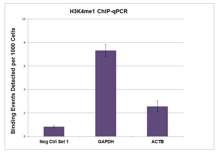 Histone H3K4me1 antibody (pAb), sample - MyBio Ireland - Active Motif