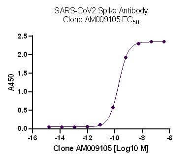 AbFlex® SARS-CoV-2 Spike Antibody (rAb) (AM009105) - MyBio Ireland - Active Motif