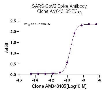 AbFlex® SARS-CoV-2 Spike Antibody (rAb) (AM043105) - MyBio Ireland - Active Motif