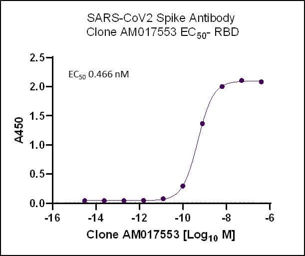 SARS-CoV-2 Spike Antibody (AM017553) - MyBio Ireland - Active Motif