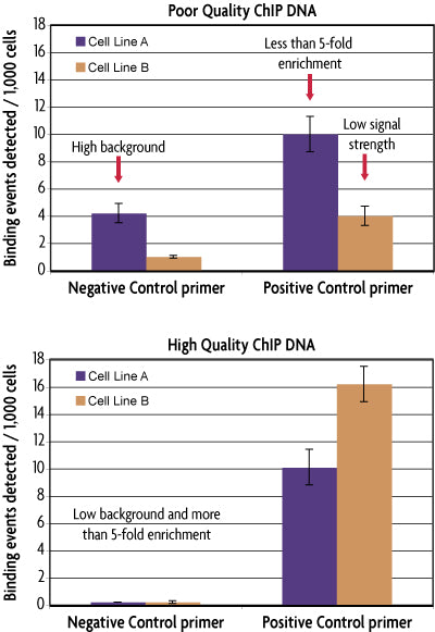 Drosophila Positive Control Primer Set Gapdh1 - MyBio Ireland - Active Motif