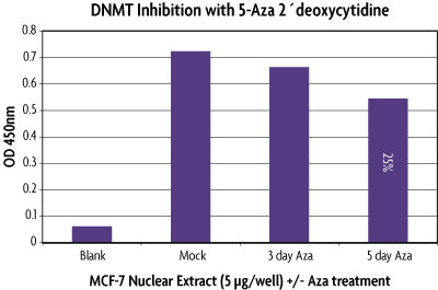 DNMT Activity / Inhibition Assay - MyBio Ireland - Active Motif
