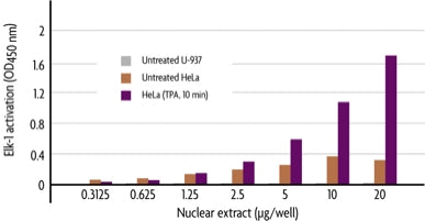 HeLa nuclear extract (TPA stimulated, 10 min) - MyBio Ireland - Active Motif