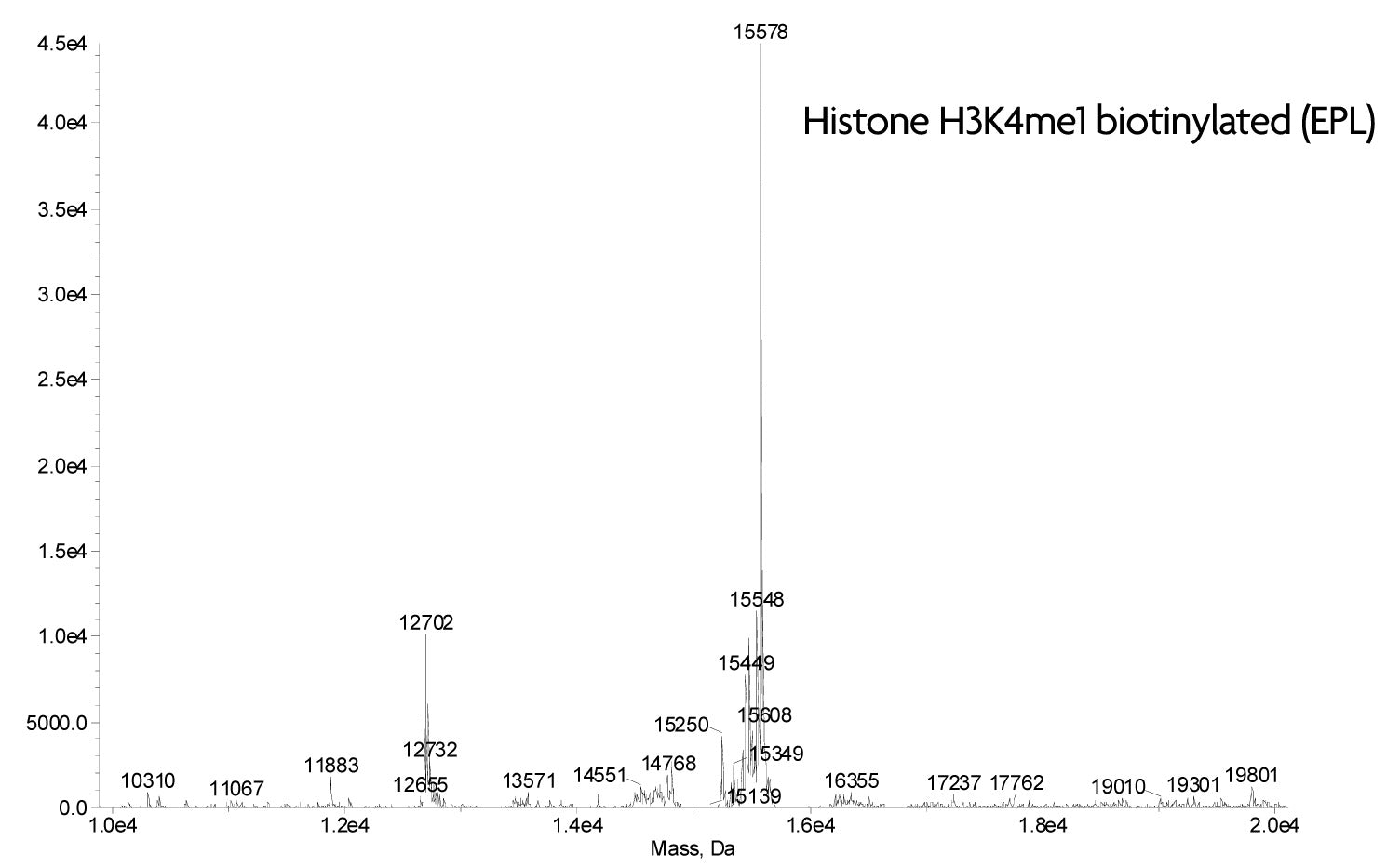 Recombinant Histone H3K4me1 biotinylated (EPL) - MyBio Ireland - Active Motif