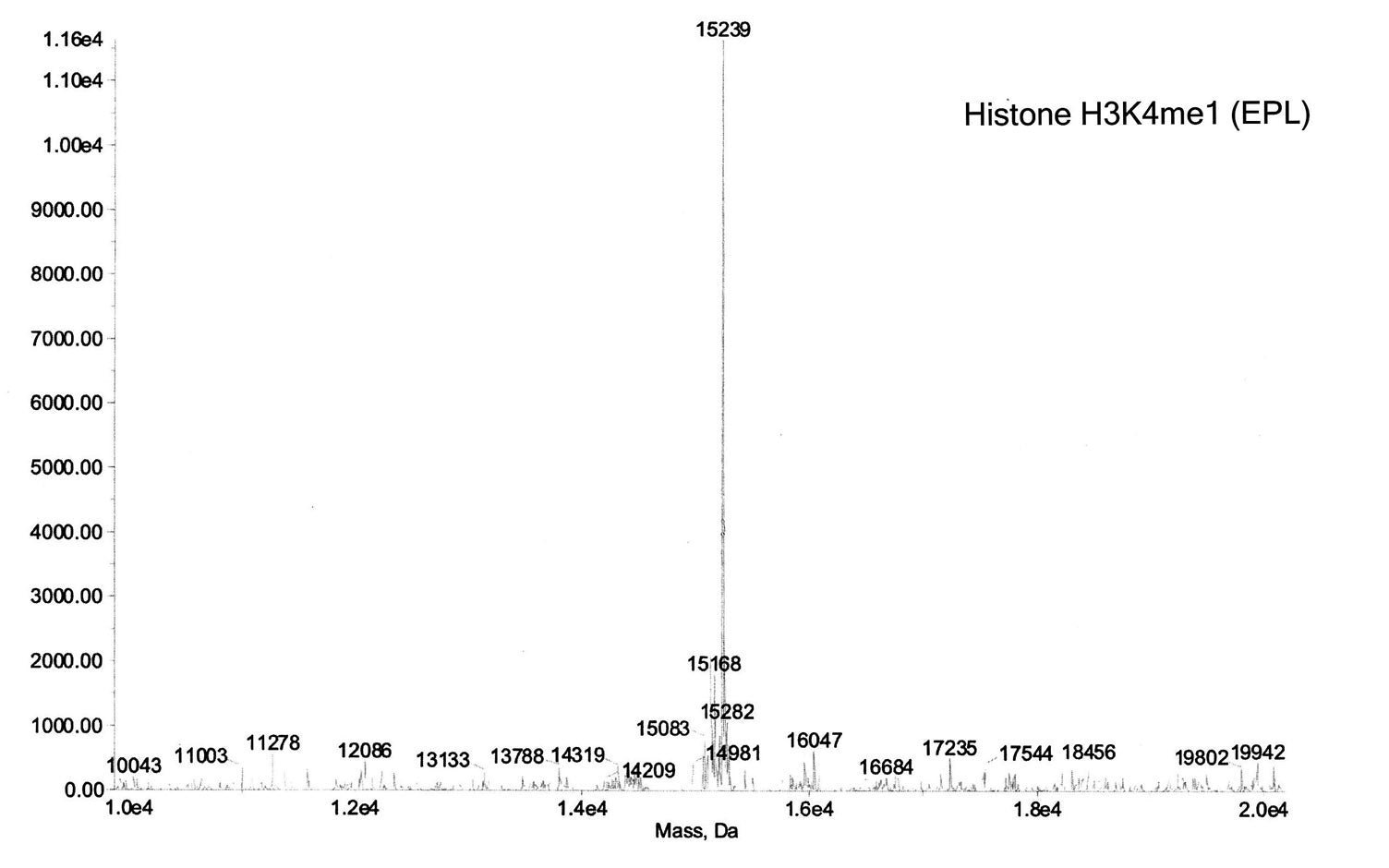 Recombinant Histone H3K4me1 (EPL) - MyBio Ireland - Active Motif