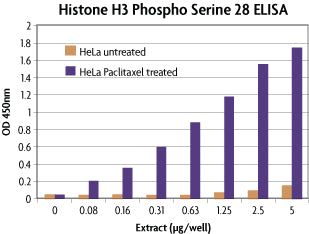 Histone H3 phospho Ser28 ELISA - MyBio Ireland - Active Motif