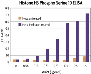 Histone H3 phospho Ser10 ELISA - MyBio Ireland - Active Motif