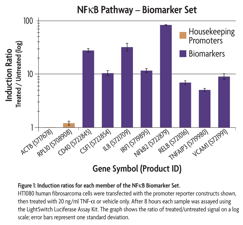 LightSwitch™ NFκB Biomarker Set - MyBio Ireland - Active Motif