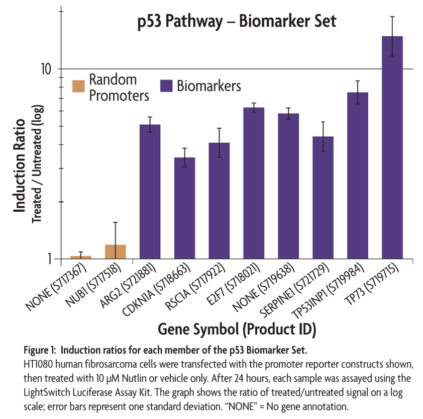 LightSwitch™ p53 Biomarker Set - MyBio Ireland - Active Motif