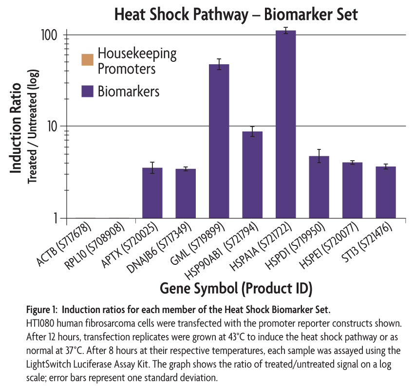 LightSwitch™ Heat Shock (HSF1) Biomarker Set - MyBio Ireland - Active Motif