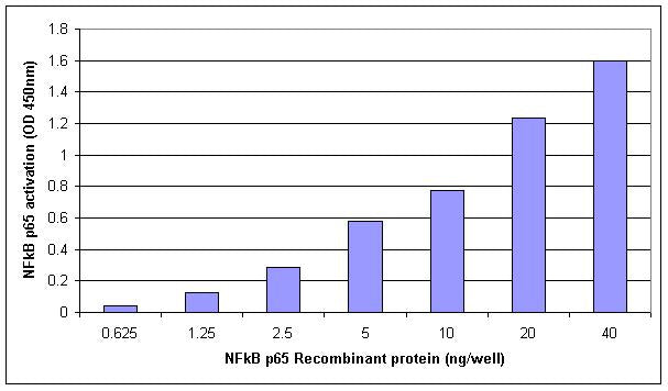 Recombinant NFκB p65 protein - MyBio Ireland - Active Motif