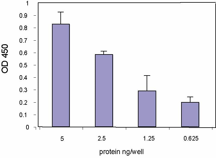 Recombinant c-Myc protein - MyBio Ireland - Active Motif