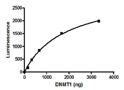 Recombinant DNMT1 protein - MyBio Ireland - Active Motif