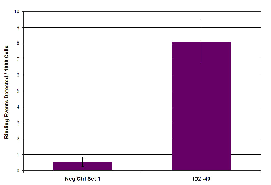 Sp1 antibody (pAb) - MyBio Ireland - Active Motif