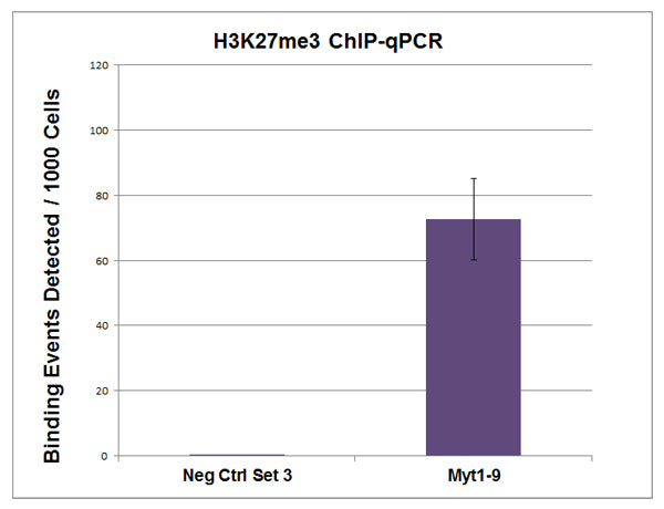 Histone H3K27me3 antibody (pAb), sample - MyBio Ireland - Active Motif