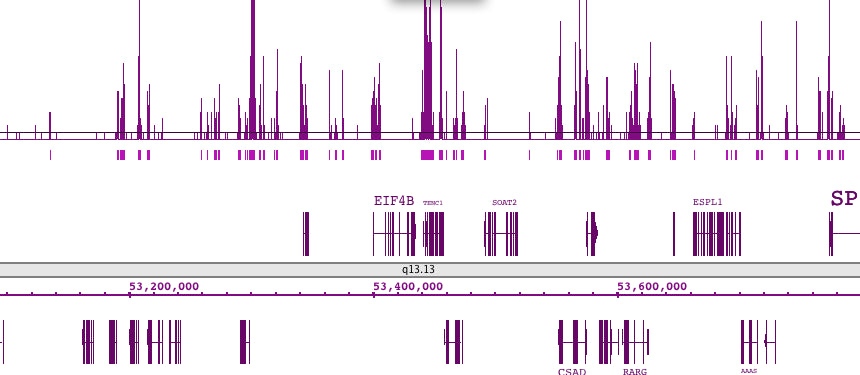Histone H3K4me1 antibody (pAb), sample - MyBio Ireland - Active Motif