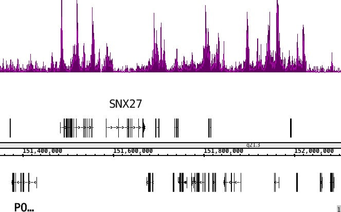 Histone H3K4me1 antibody (mAb) - MyBio Ireland - Active Motif