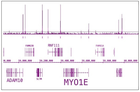 RNA pol II CTD phospho Ser5 antibody (pAb), sample - MyBio Ireland - Active Motif