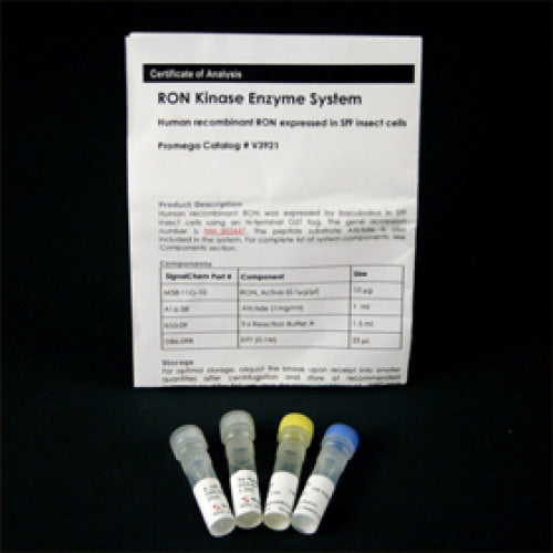 RON Kinase Enzyme System - MyBio Ireland - Promega