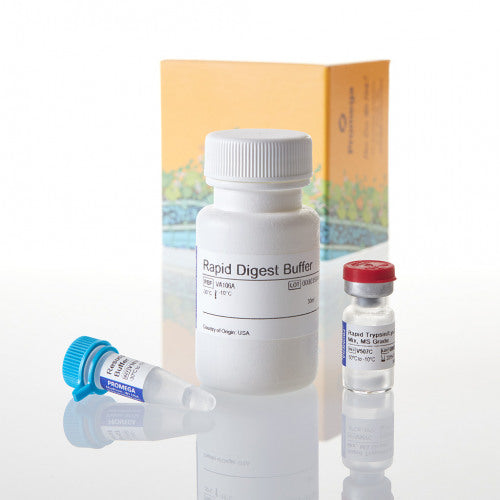 Rapid Digestion Kit---Trypsin/Lys-C - MyBio Ireland - Promega